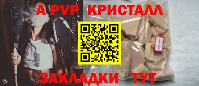 дмт Аргун