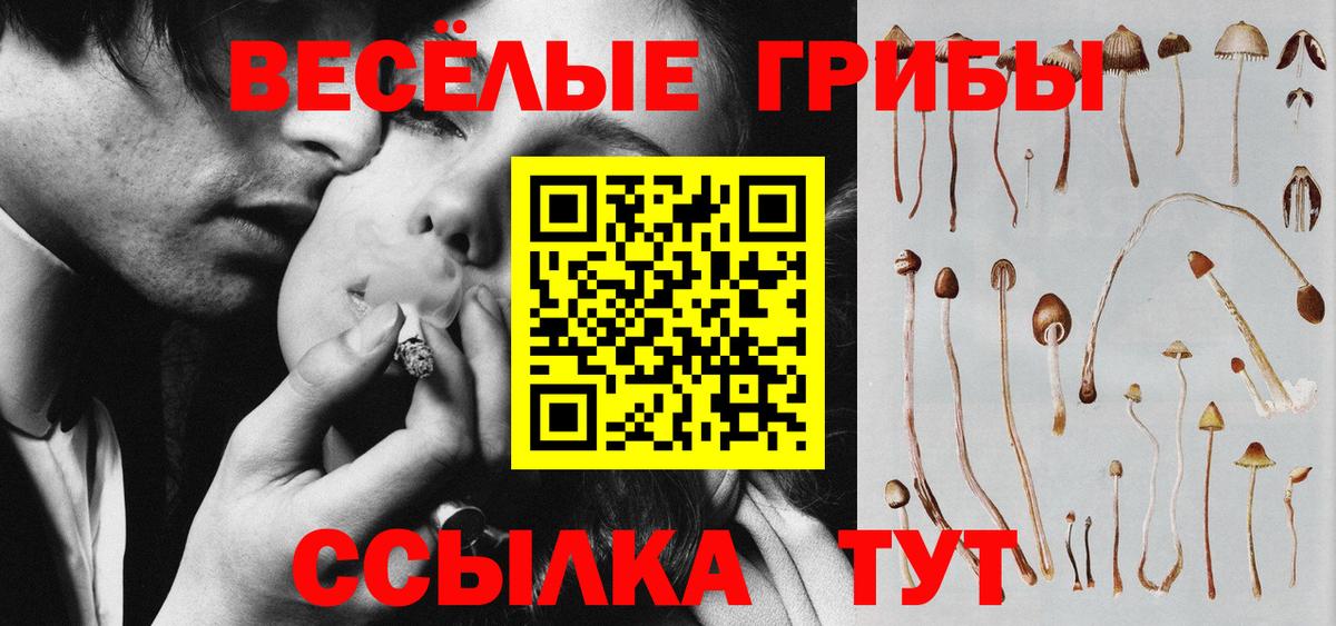 Псилоцибиновые грибы Psilocybe Белая Калитва